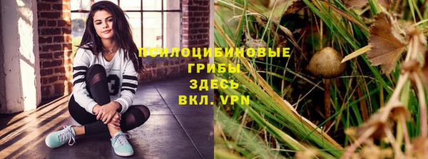 мяу мяу мука Медногорск