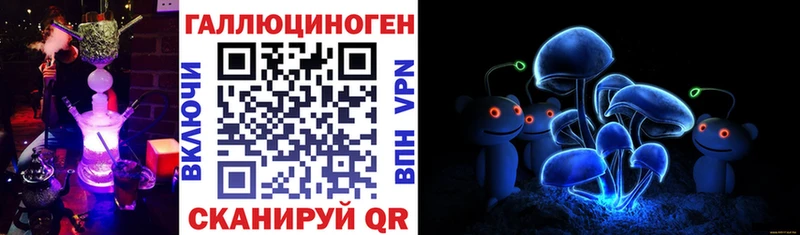 Купить где  Петровск  Галлюциногенные грибы MAGIC MUSHROOMS 